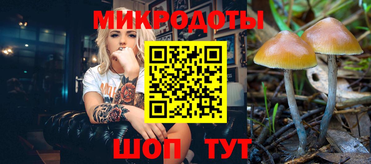 Галлюциногенные грибы Cubensis  Галлюциногенные грибы MAGIC MUSHROOMS  Белая Калитва  Вход с VPN 